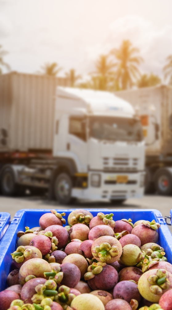 loresa management services – food services 2025 (6)